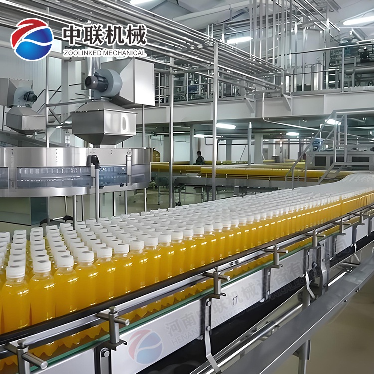 整套菇娘果飲料生產(chǎn)線設備